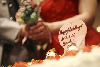 voice20120222